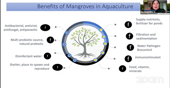 Rekonsiliasi Mangrove di Delta Mahakam 