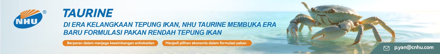 WhatsApp Image 2026 06 02 at 13.58.09