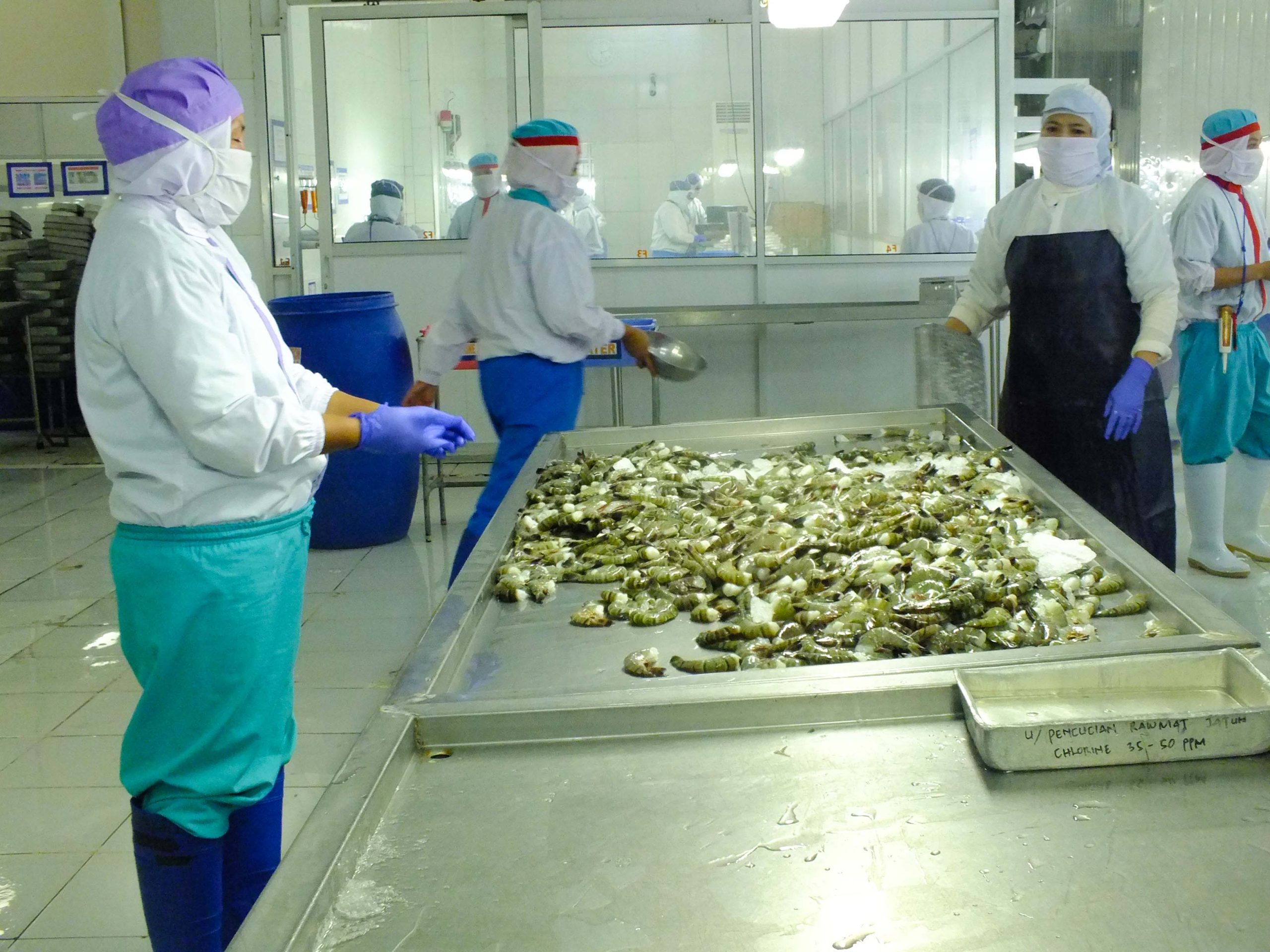 Targeting Shrimp Markets and Consumer Targets