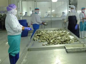 Tepatkan Pasar Udang dan Target Konsumen