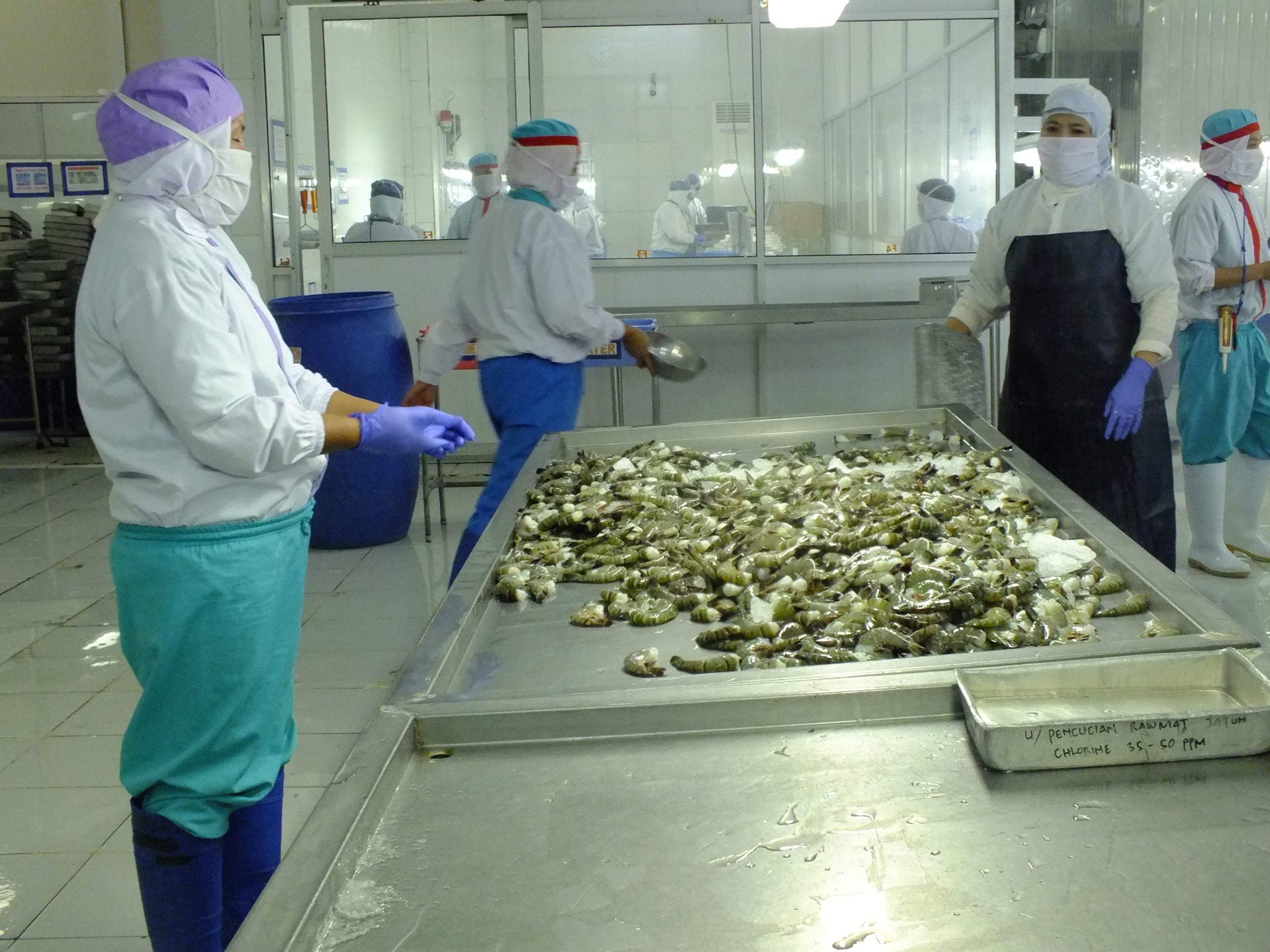 Tepatkan Pasar Udang dan Target Konsumen