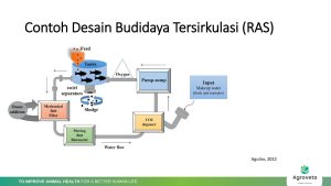 Air, Enzim dan Probiotik pada Sistem Resirkulasi (2)