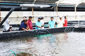 Efektivitas NP untuk Tahan Penyakit