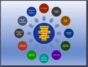 Strategi Aman Budidaya Vannamei