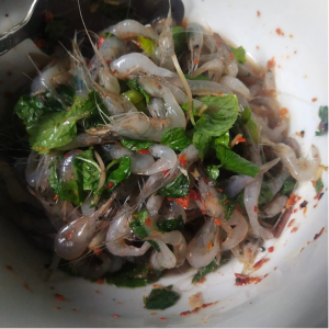 Dancing shrimp dok nattasya