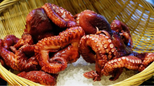 Tantangan di Balik Kejayaan Ekspor Gurita Indonesia