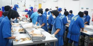 Optimalkan Serapan Catfish