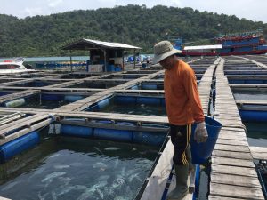 Layakkan Budidaya Laut Berbasis Kawasan