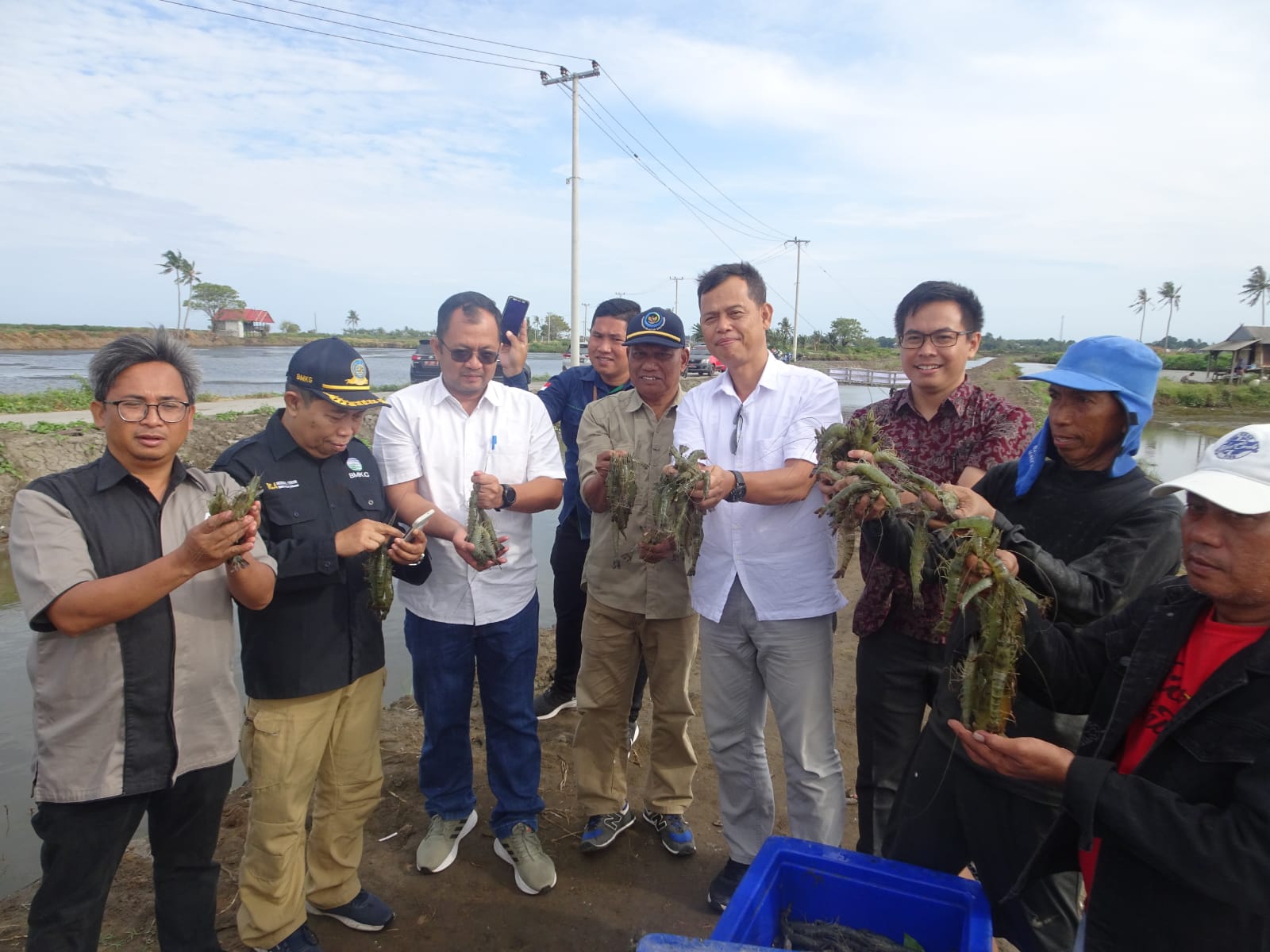 Prospektif Udang dengan Petokolan