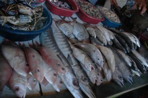 Pergerakan Harga Ikan Pasca Lebaran