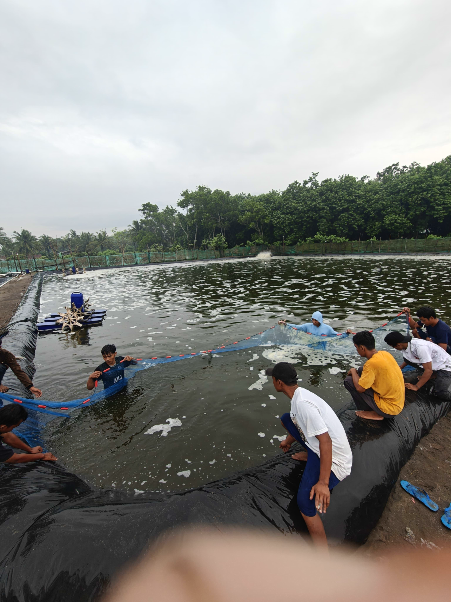 Two Steps System from the South Coast of Java