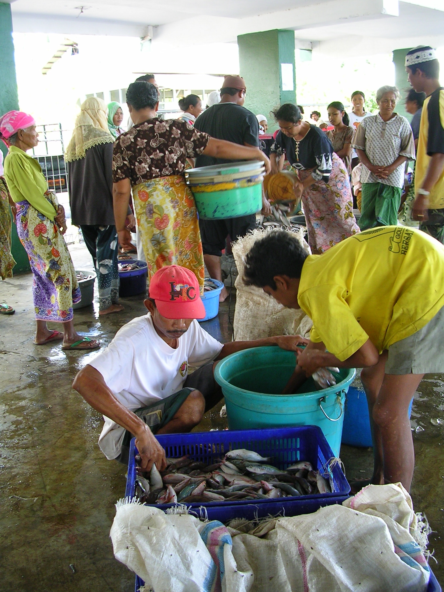 Harga Ikan Laut Menurun di Jatim