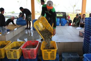 Menghitung (B)Untung Tarif AS Bagi Perudangan