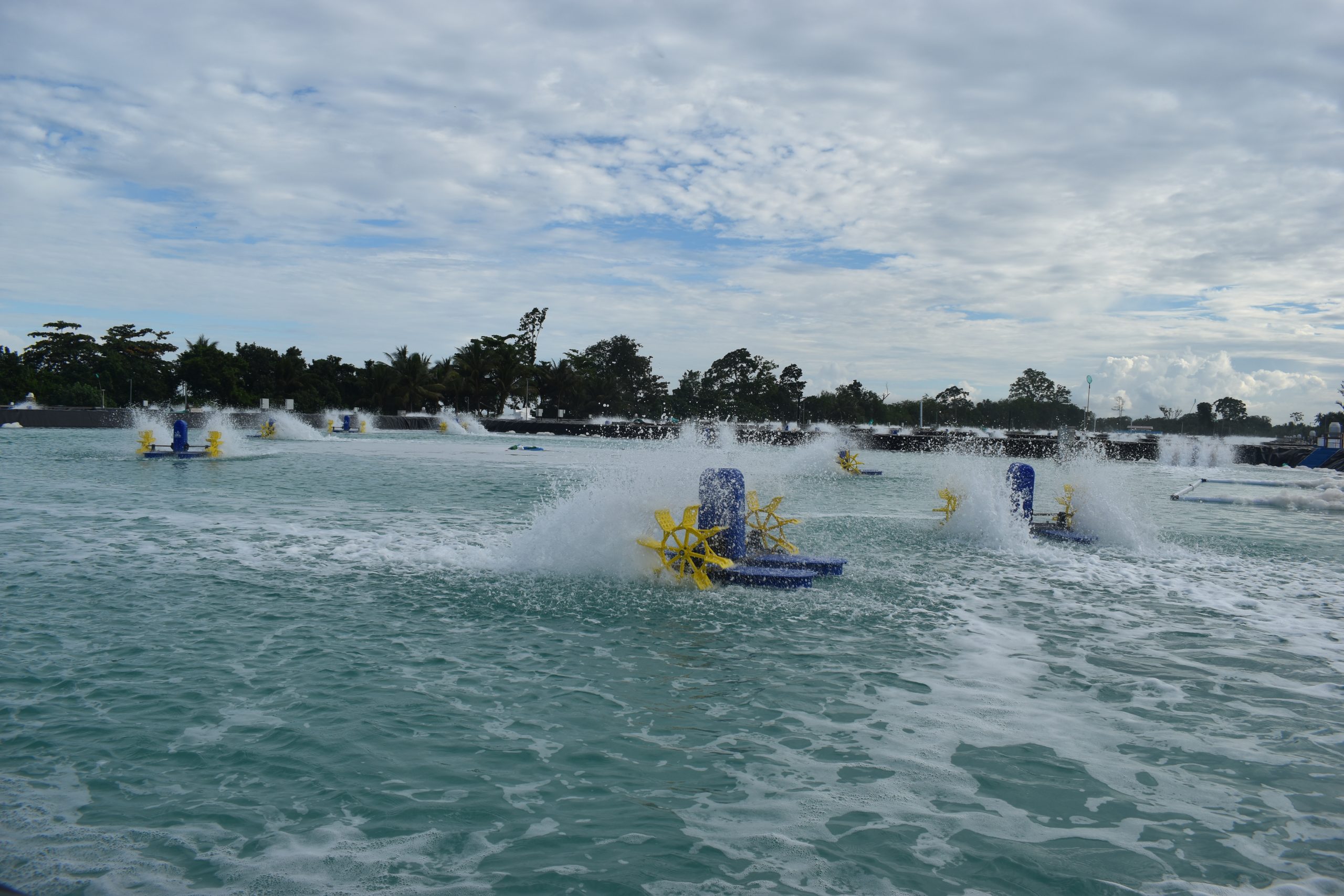 Key Principles for Combating Shrimp Disease