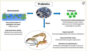 Protect Investments with Biosecurity