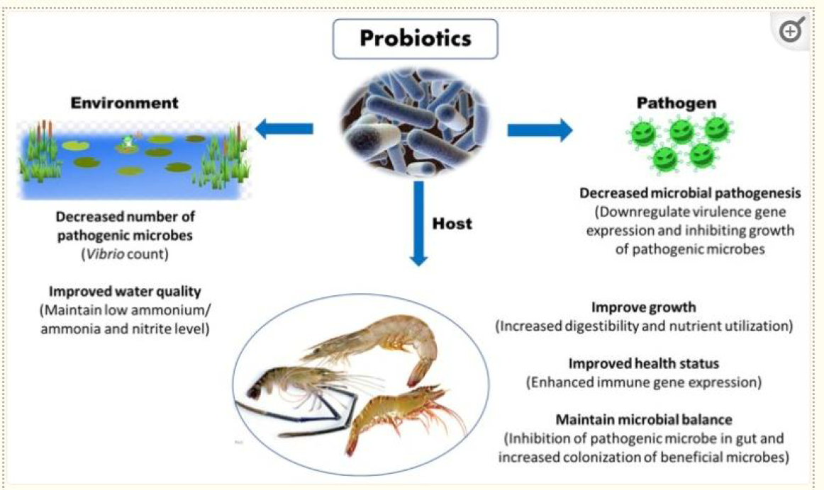 Protect Investments with Biosecurity
