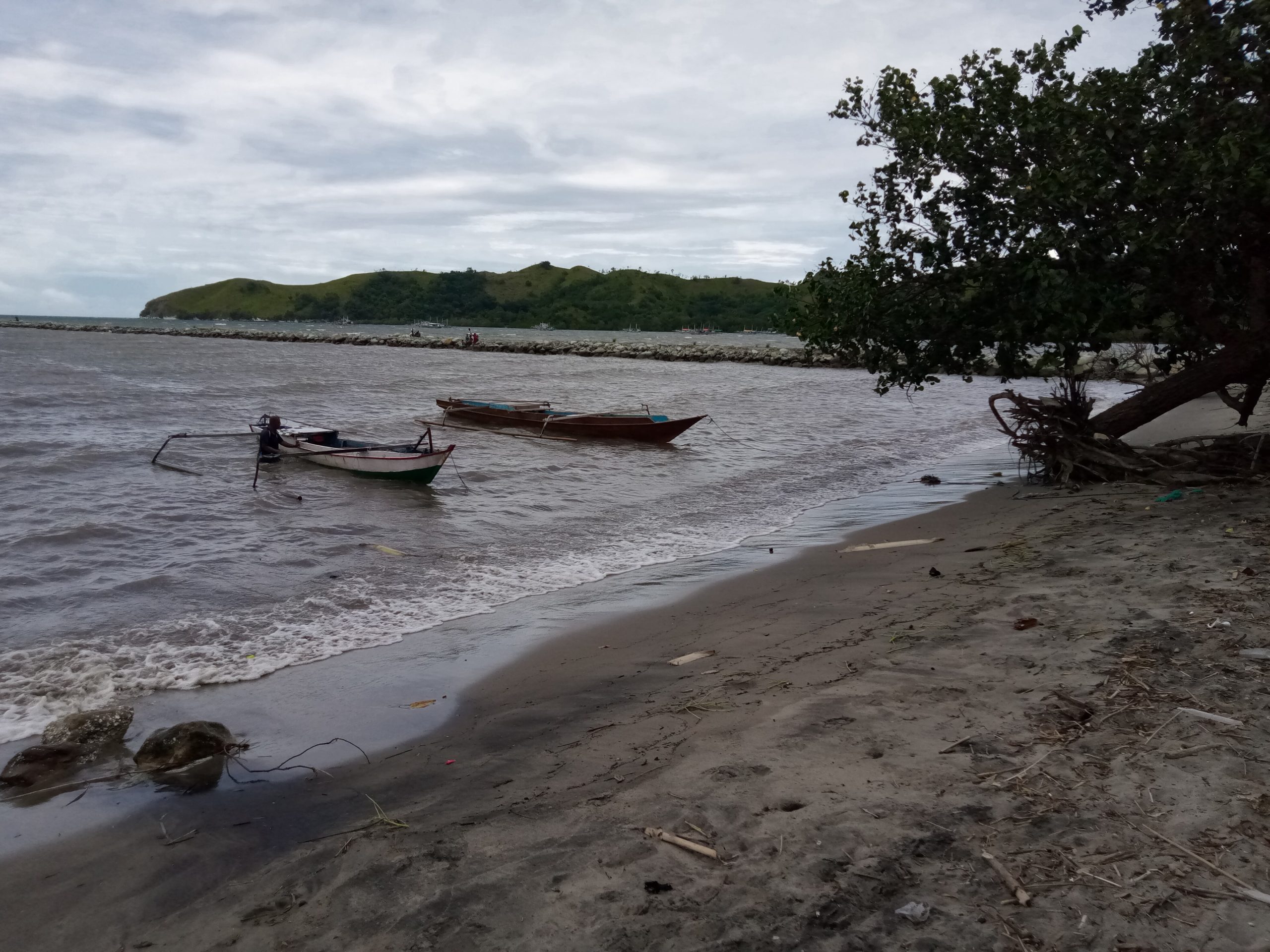 Climate Changes Also Affect Fish Migration Patterns