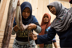 Challenges Behind the Glory Octopus Exports