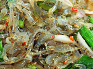 Dancing Shrimp, the Sensation of Live, Seasoned Shrimp