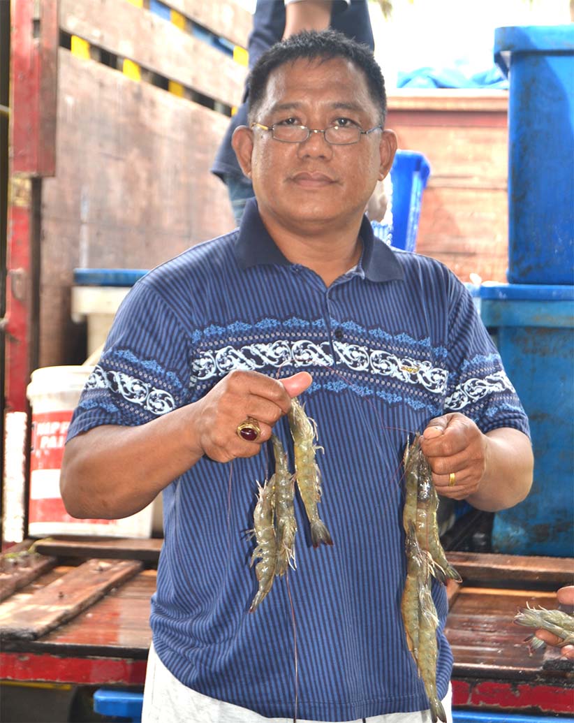 Harga Udang di Bengkulu Masih Terseok
