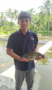 Aquanews 2