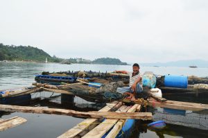 Mariculture in Lampung Bay: Great Potential, Insufficient Resources