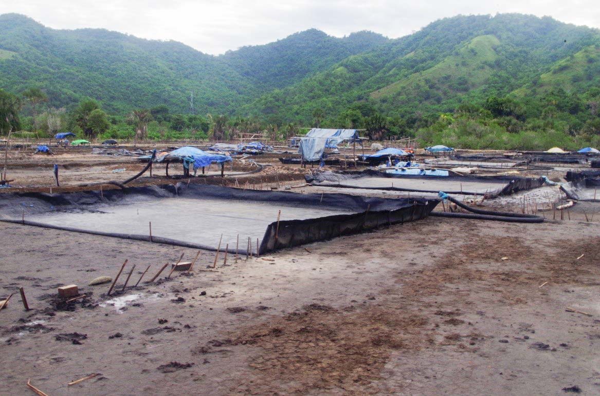 Tambak Garam di Utara Flores