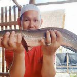 Ikan Lokal, Momentum yang Butuh Komitmen