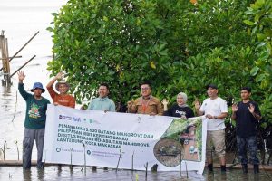 Kuatkan Kawasan Mangrove dan Kepiting Bakau di Lantebung