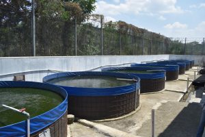 Empat Aspek Penting CBIB