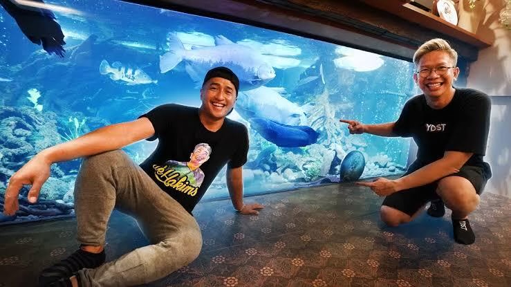 Hiu Blacktip, Ikon Ikan Laut di Rumah DeHakim