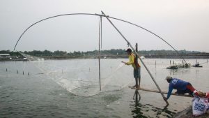 Budidaya udang dok trobos