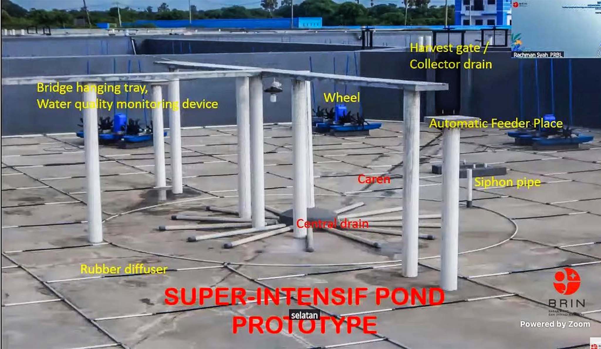 Nyamankan Benur untuk Padat Tebar Tinggi