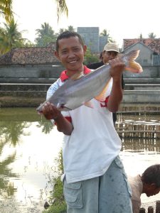 Patin Siam by TROBOS