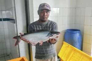 Ketika Dapur MBG Memburu Daging Ikan   