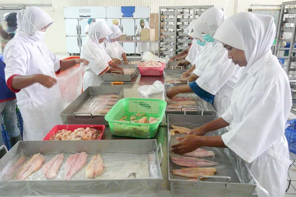 Fillet patin by TROBOS