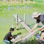Dari Limbah Dapur ke Pakan Ikan: Kemandirian Pakan Mandiri PokdakanTeratai Baru