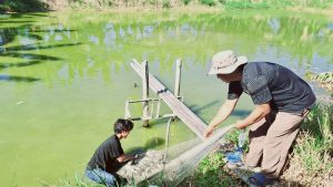 Dari Limbah Dapur ke Pakan Ikan: Kemandirian Pakan Mandiri PokdakanTeratai Baru