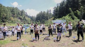 stp banyuwangi
