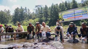 stp banyuwangi 4