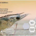 Strategi Kombinasi Aplikasi Feed Additive: Optimalisasi Kecernaan Pakan, Penyerapan Nutrien dan Pemeliharaan Kesehatan Udang
