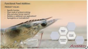 Strategi Kombinasi Aplikasi Feed Additive: Optimalisasi Kecernaan Pakan, Penyerapan Nutrien dan Pemeliharaan Kesehatan Udang
